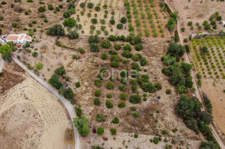 Terreno para Venda em Moncarapacho e Fuseta Foto 10
