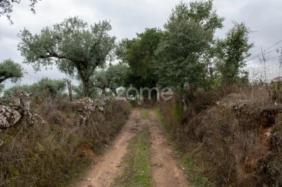 Terreno para Venda em Freixial e Juncal do Campo