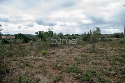 Terreno para Venda em Freixial e Juncal do Campo