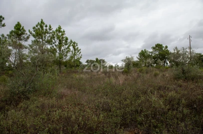 Terreno para Venda em Freixial e Juncal do Campo