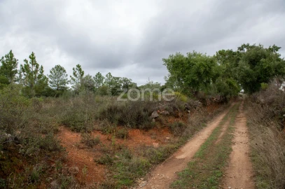 Terreno para Venda em Freixial e Juncal do Campo