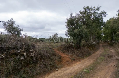 Terreno para Venda em Freixial e Juncal do Campo