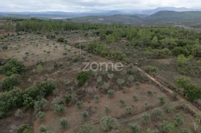 Terreno para Venda em Freixial e Juncal do Campo