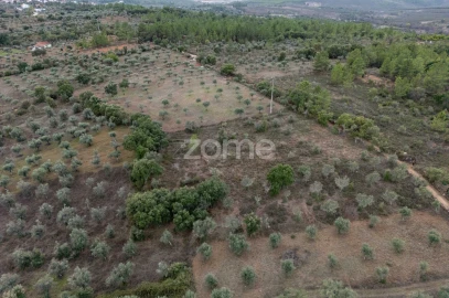 Terreno para Venda em Freixial e Juncal do Campo