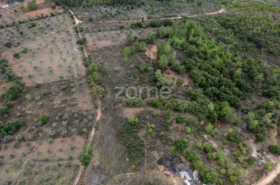 Terreno para Venda em Freixial e Juncal do Campo