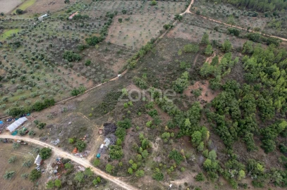 Terreno para Venda em Freixial e Juncal do Campo