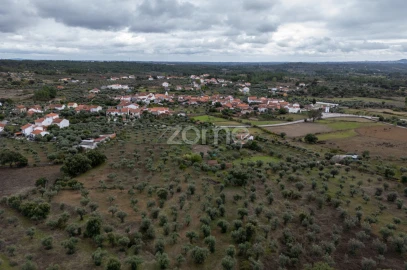 Terreno para Venda em Freixial e Juncal do Campo