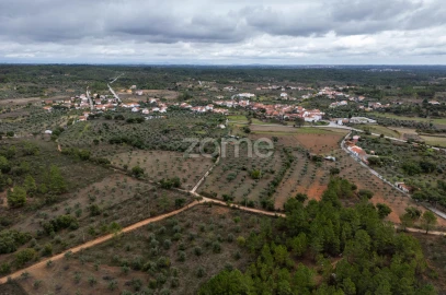 Terreno para Venda em Freixial e Juncal do Campo
