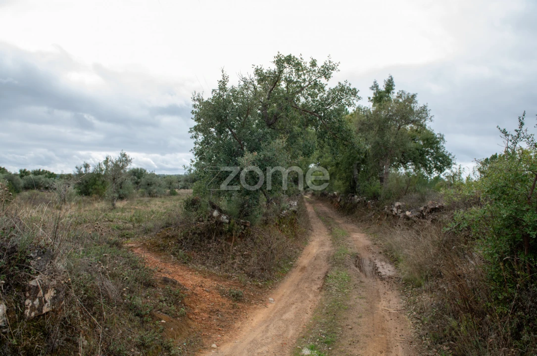 Terreno para Venda em Freixial e Juncal do Campo Foto 6