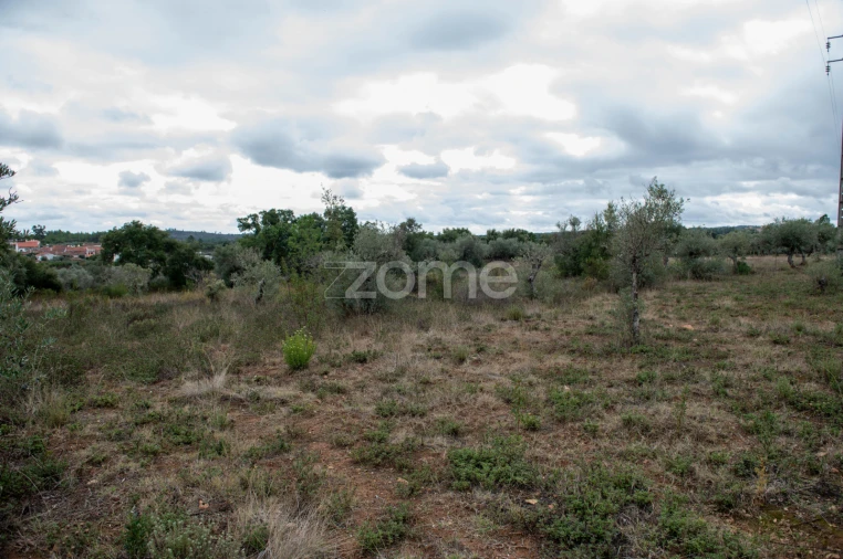Terreno para Venda em Freixial e Juncal do Campo Foto 5