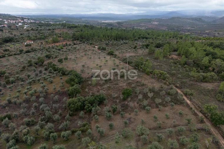 Terreno para Venda em Freixial e Juncal do Campo Foto 2