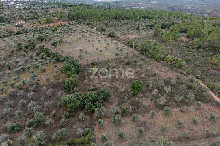 Terreno para Venda em Freixial e Juncal do Campo Foto 10