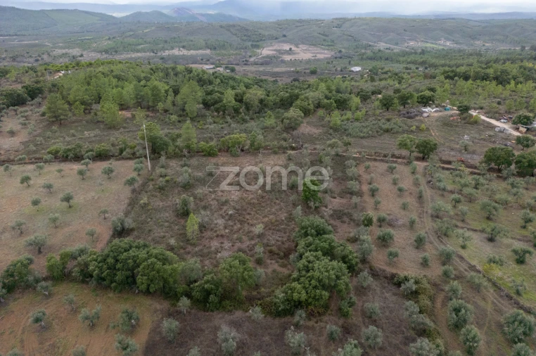 Terreno para Venda em Freixial e Juncal do Campo Foto 12