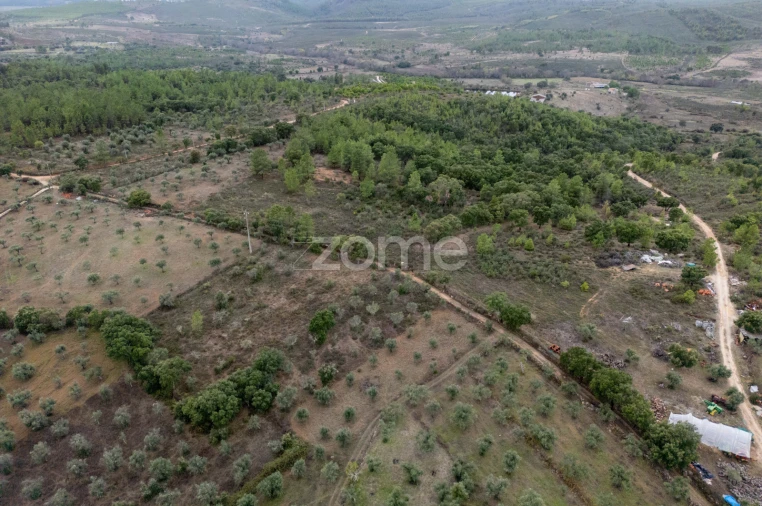 Terreno para Venda em Freixial e Juncal do Campo Foto 14