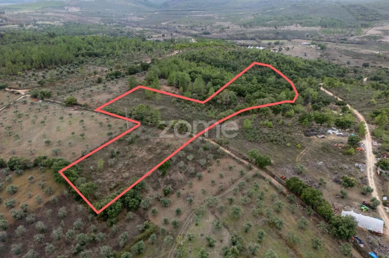 Terreno para Venda em Freixial e Juncal do Campo Foto 3