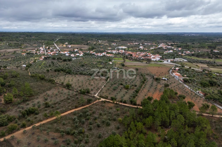 Terreno para Venda em Freixial e Juncal do Campo Foto 22