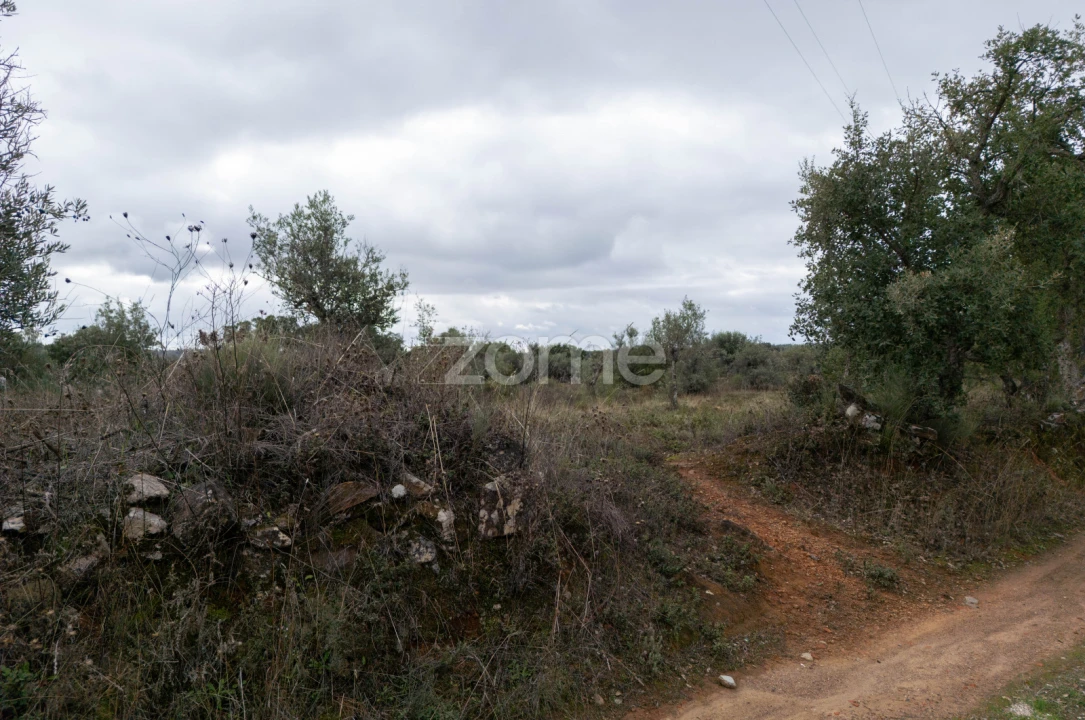 Terreno para Venda em Freixial e Juncal do Campo Foto 7