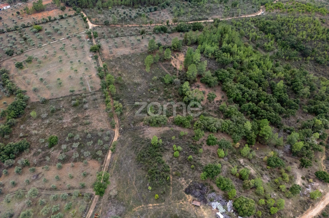 Terreno para Venda em Freixial e Juncal do Campo Foto 1