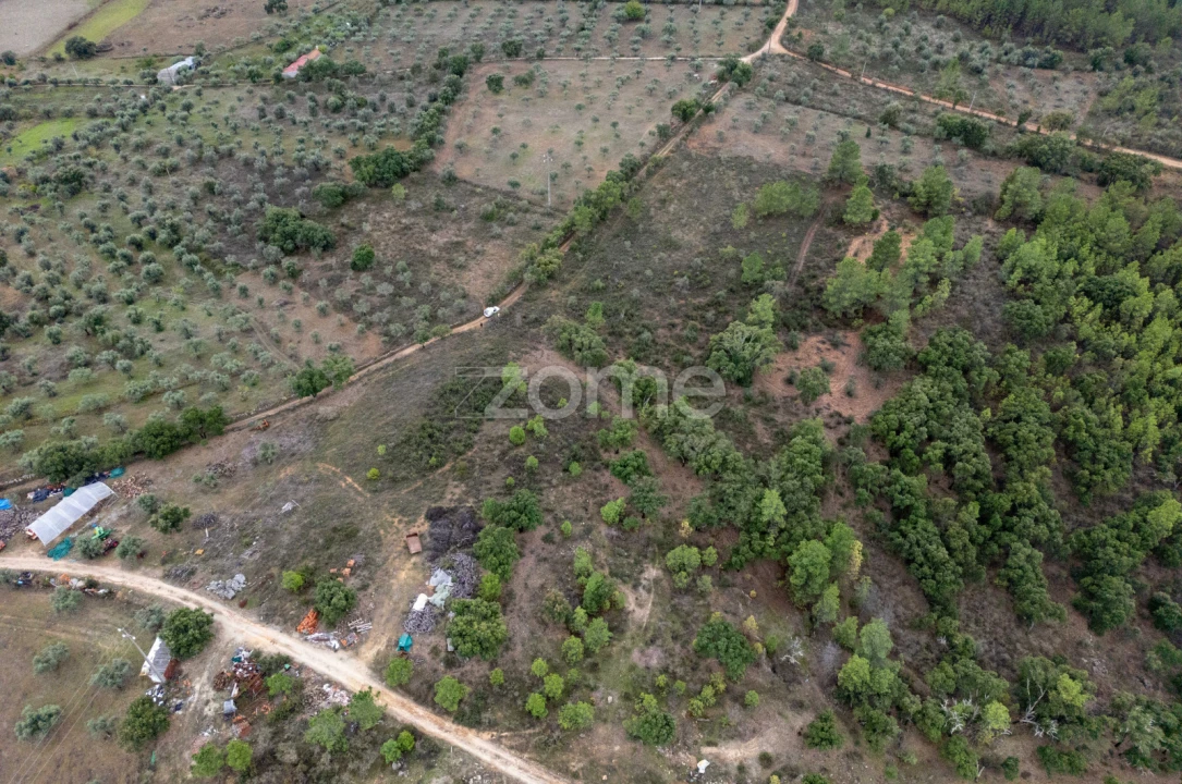 Terreno para Venda em Freixial e Juncal do Campo Foto 15