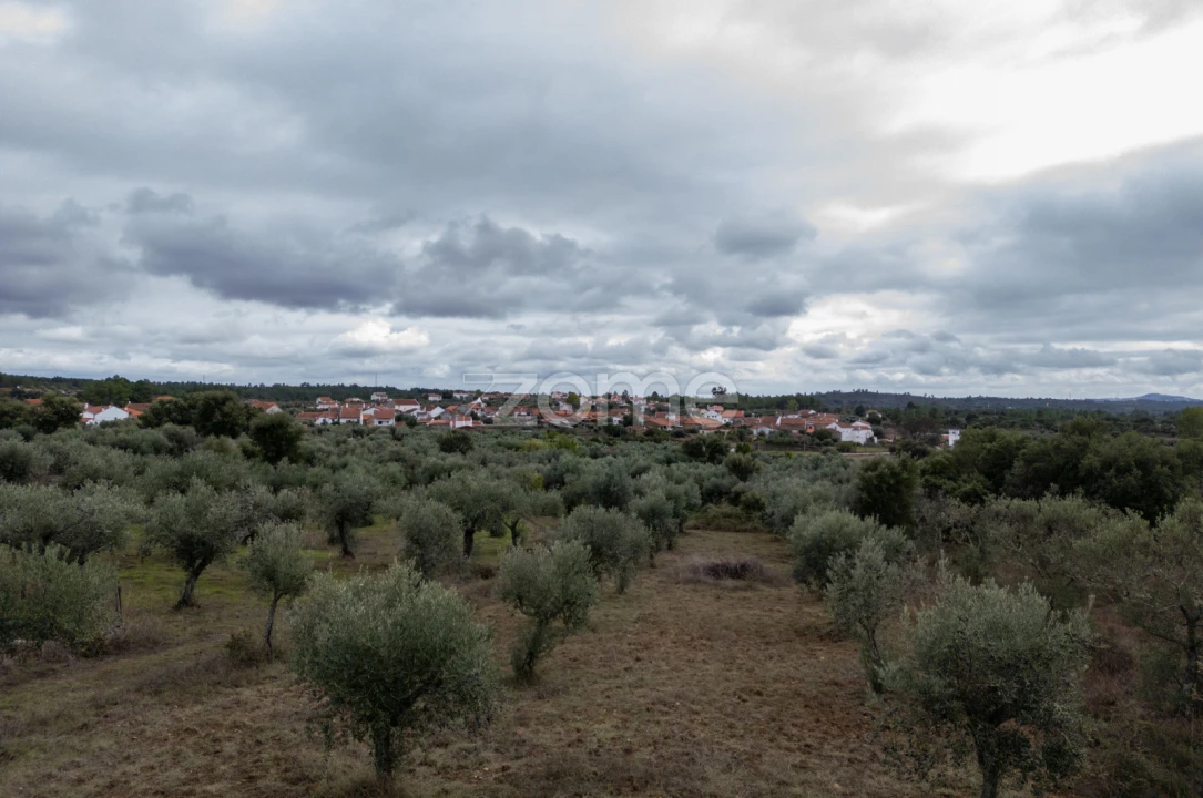 Terreno para Venda em Freixial e Juncal do Campo Foto 18