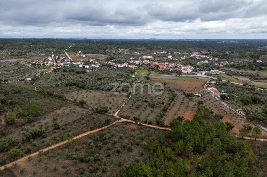 Terreno para Venda em Freixial e Juncal do Campo Foto 22