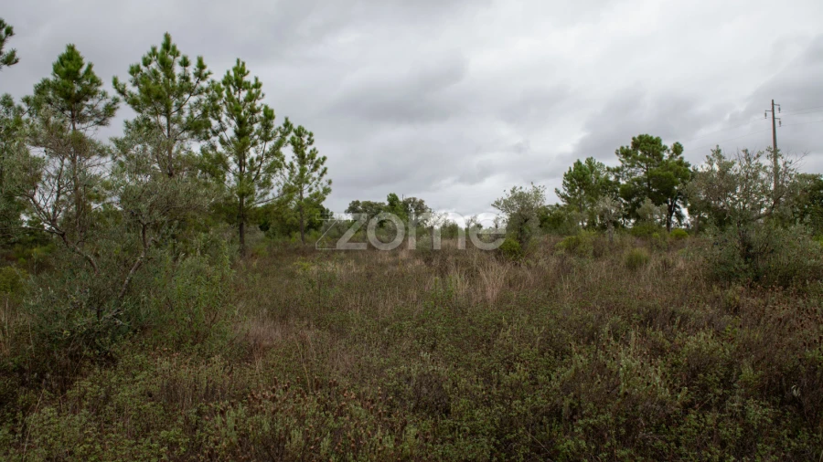 Terreno para Venda em Freixial e Juncal do Campo