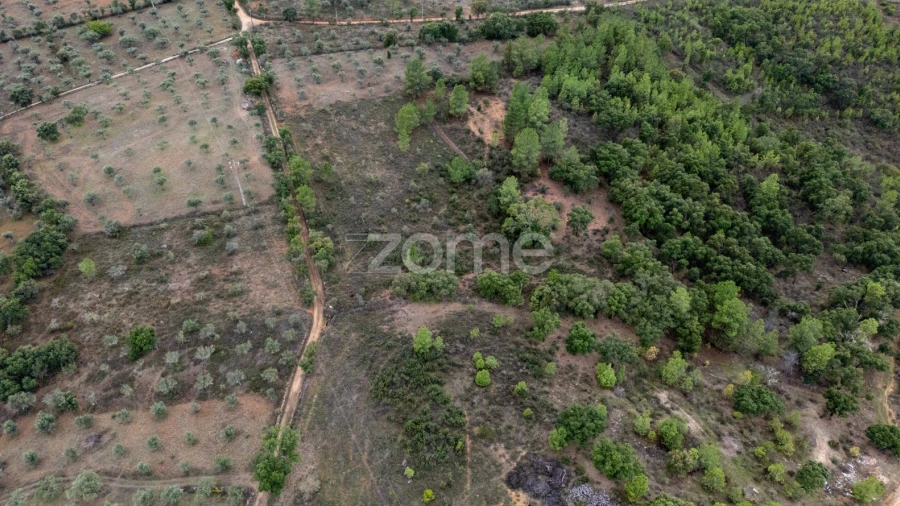 Terreno para Venda em Freixial e Juncal do Campo