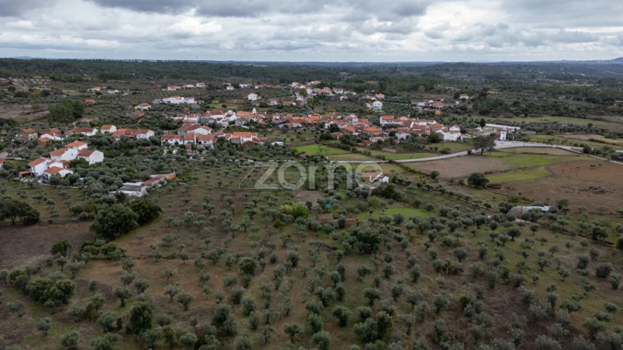 Terreno para Venda em Freixial e Juncal do Campo