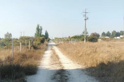 Terreno para Venda em Poceirão e Marateca