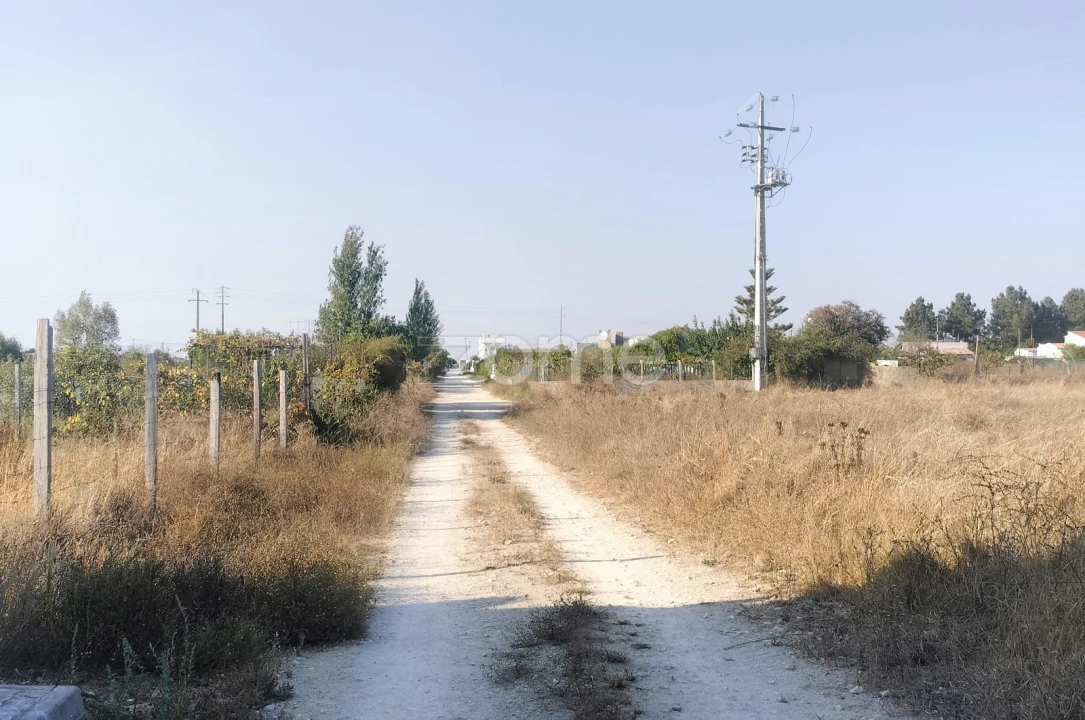Terreno para Venda em Poceirão e Marateca Foto 6