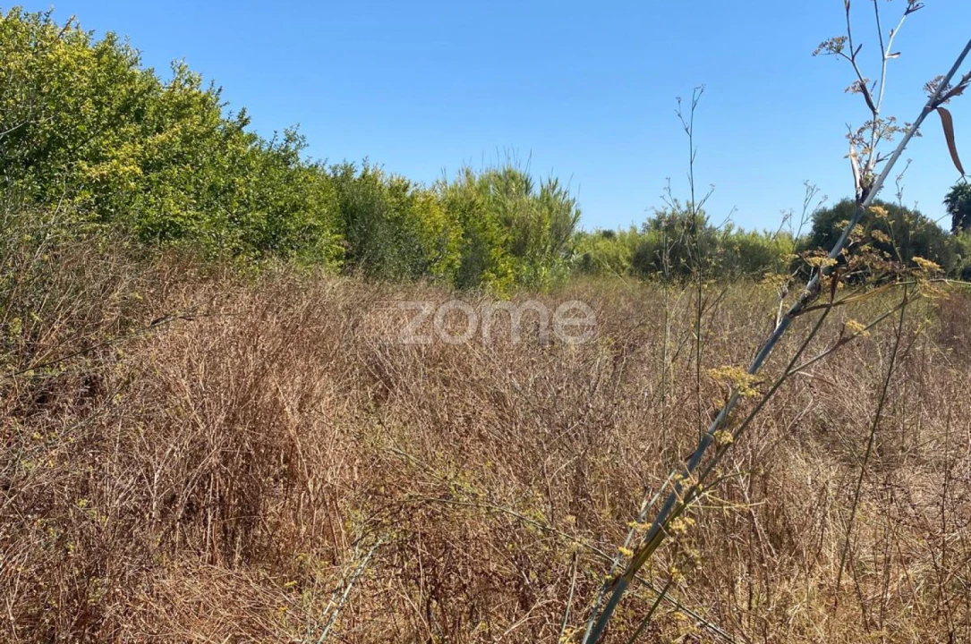 Terreno para Venda em Vila Nova de Cacela Foto 23