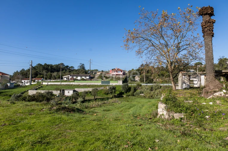 Terreno para Venda em Almargem do Bispo, Pêro Pinheiro e Montelavar Foto 12