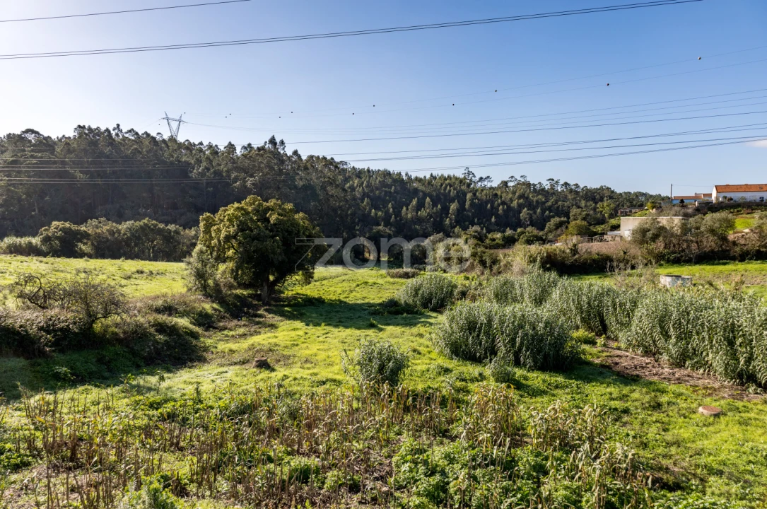 Terreno para Venda em Almargem do Bispo, Pêro Pinheiro e Montelavar Foto 11