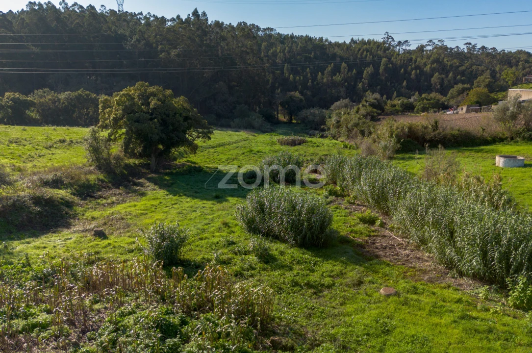 Terreno para Venda em Almargem do Bispo, Pêro Pinheiro e Montelavar Foto 9