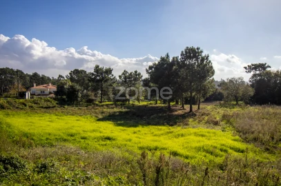 Terreno para Venda em Regueira de Pontes
