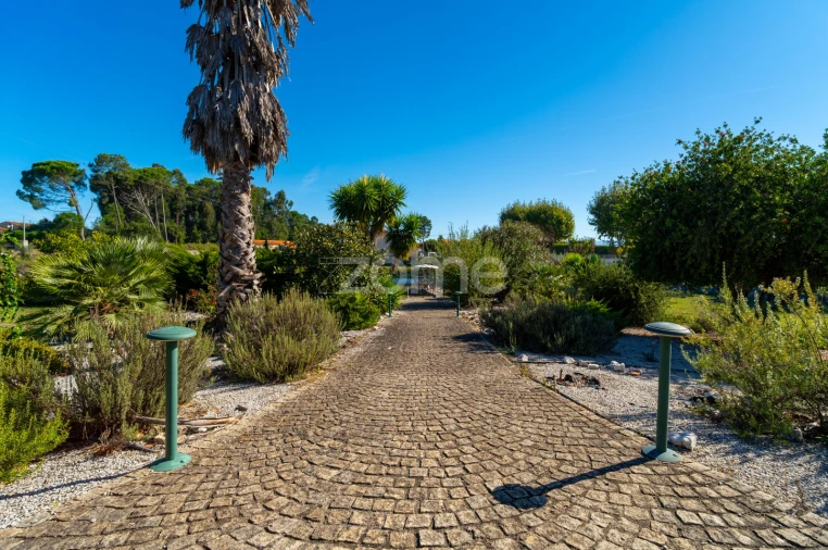 Quinta T3 para Venda em Currelos, Papízios e Sobral Foto 40