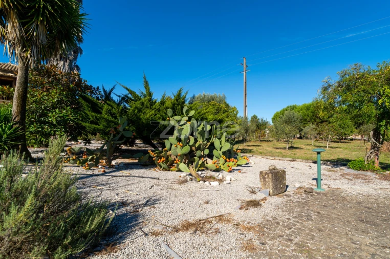 Quinta T3 para Venda em Currelos, Papízios e Sobral Foto 43