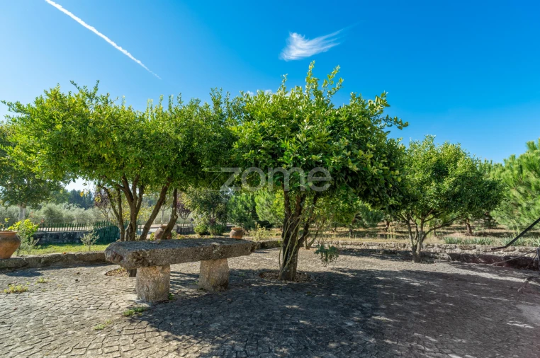 Quinta T3 para Venda em Currelos, Papízios e Sobral Foto 48