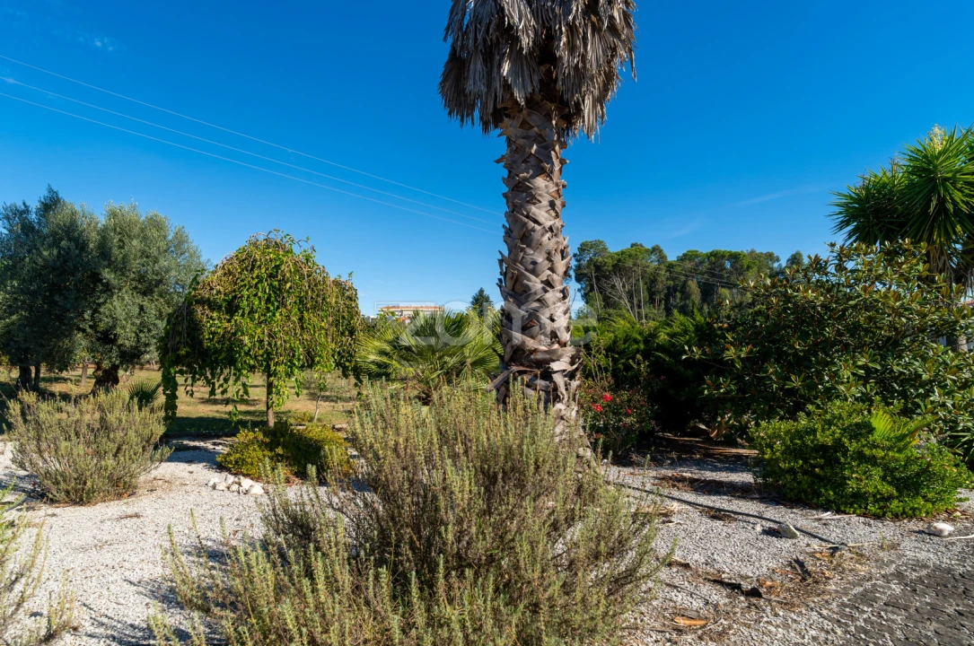 Quinta T3 para Venda em Currelos, Papízios e Sobral Foto 41