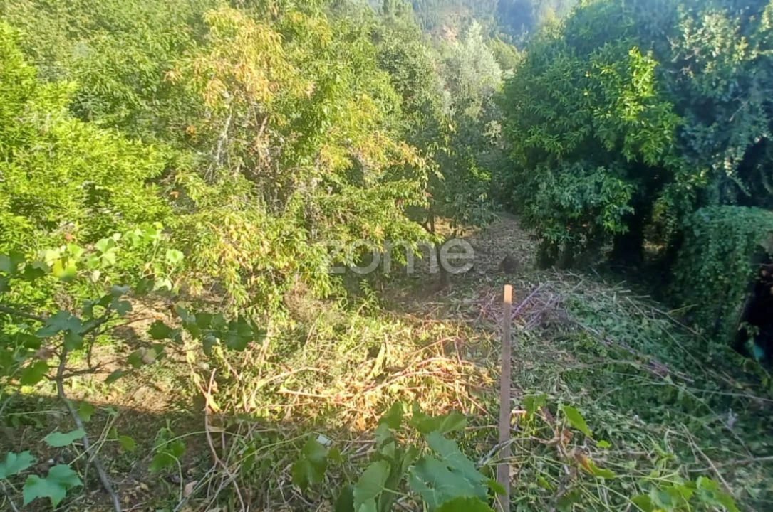 Moradia T4 para Venda em Folques Foto 18