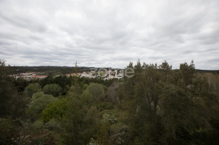 Moradia T5 para Venda em Foz de Arouce e Casal de Ermio Foto 38