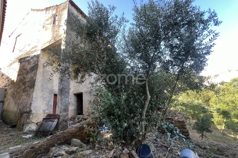 Moradia T3 para Venda em Pampilhosa da Serra Foto 6