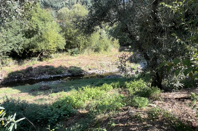 Moradia T3 para Venda em Pampilhosa da Serra Foto 13