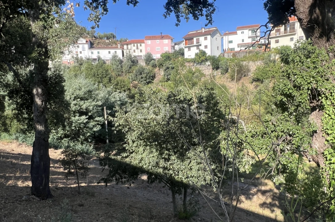 Moradia T3 para Venda em Pampilhosa da Serra Foto 10