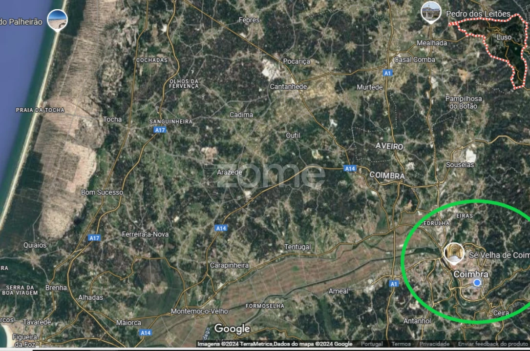 Terreno para Venda em Mealhada, Ventosa do Bairro e Antes Foto 12