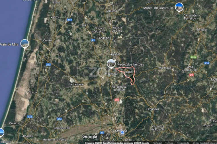 Terreno para Venda em Mealhada, Ventosa do Bairro e Antes Foto 14