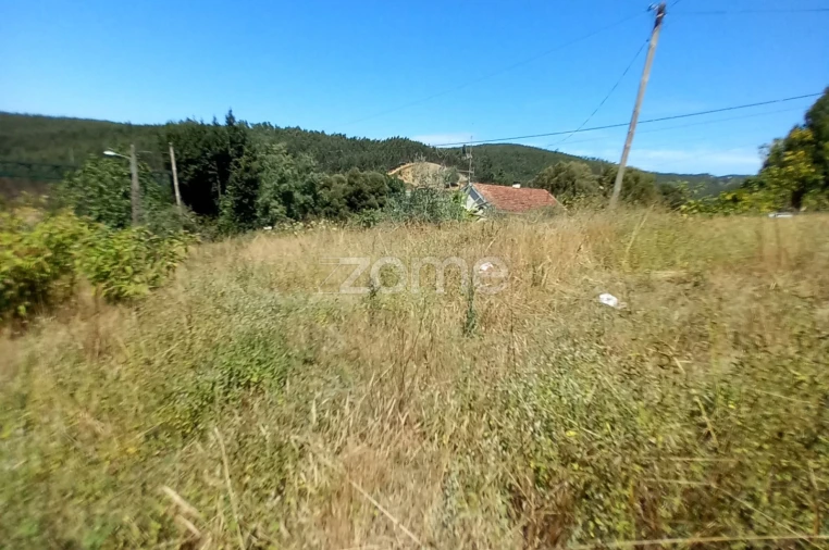 Terreno para Venda em Mealhada, Ventosa do Bairro e Antes