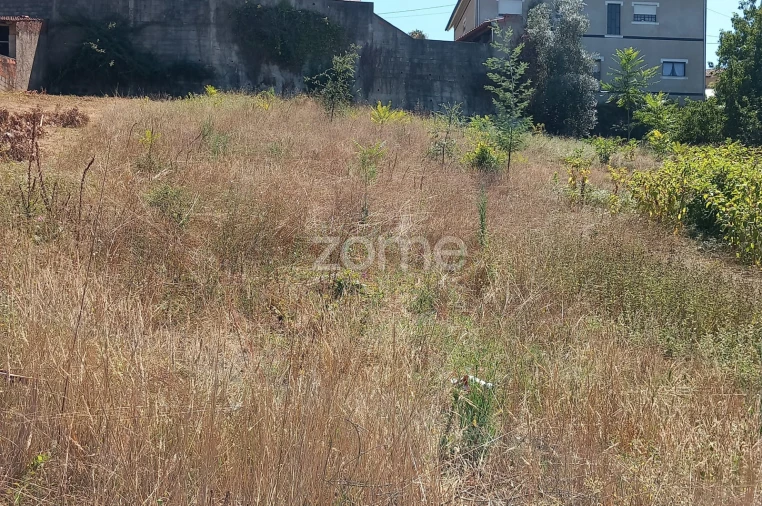 Terreno para Venda em Mealhada, Ventosa do Bairro e Antes Foto 8