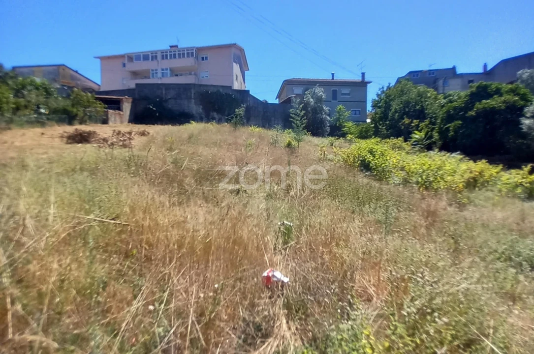 Terreno para Venda em Mealhada, Ventosa do Bairro e Antes Foto 7