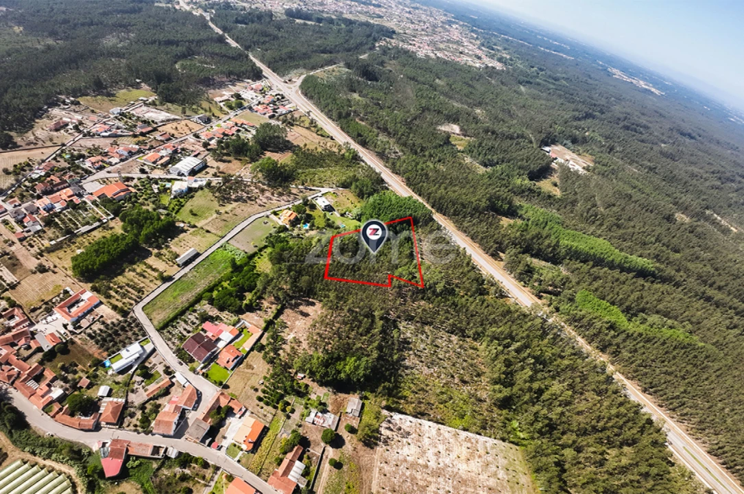 Terreno para Venda em Cantanhede e Pocariça Foto 3